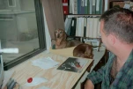 Al and the pups at the desk