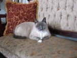 DSCF0413