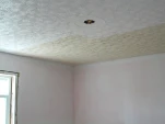 DSCN0614