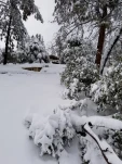 20190205 140041