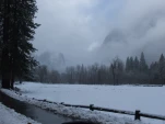 DSCF1442